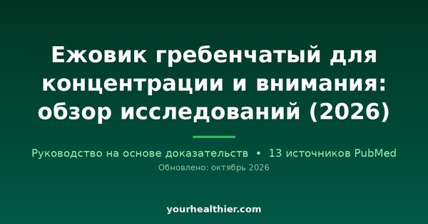 Ежовик гребенчатый для концентрации и внимания: обзор исследований (2026)