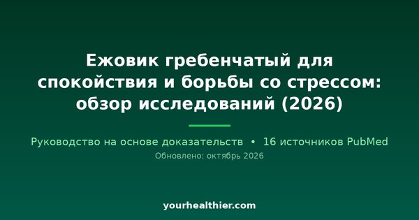 Ежовик гребенчатый для спокойствия и борьбы со стрессом: обзор исследований (2026)