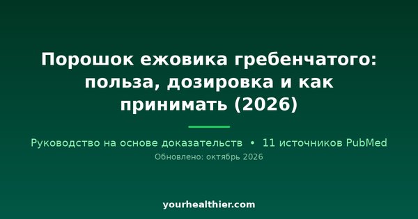 Порошок ежовика гребенчатого: польза, дозировка и как принимать (2026)