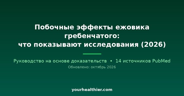 Побочные эффекты ежовика гребенчатого: что показывают исследования (2026)