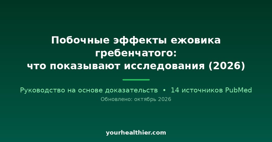 Побочные эффекты ежовика гребенчатого: что показывают исследования (2026)