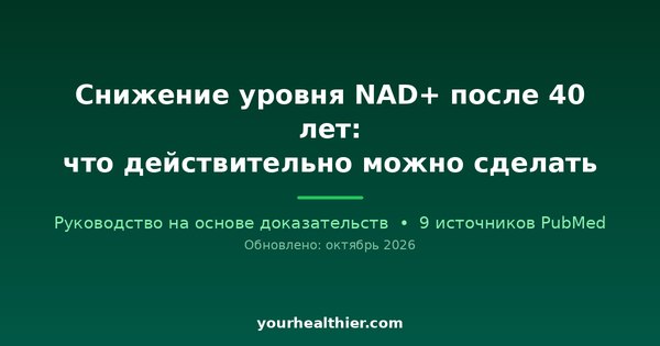 Снижение уровня NAD+ после 40 лет: что действительно можно сделать