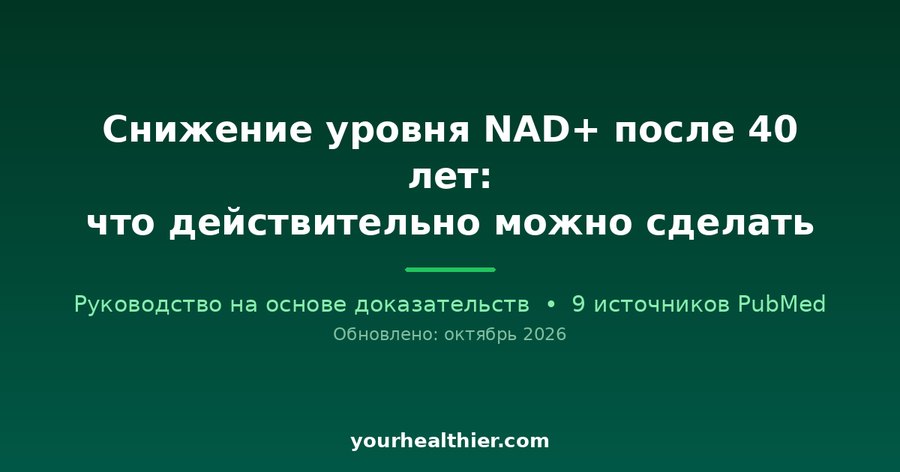 Снижение уровня NAD+ после 40 лет: что действительно можно сделать
