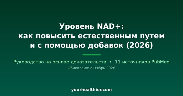 Уровень NAD+: как повысить естественным путем и с помощью добавок (2026)