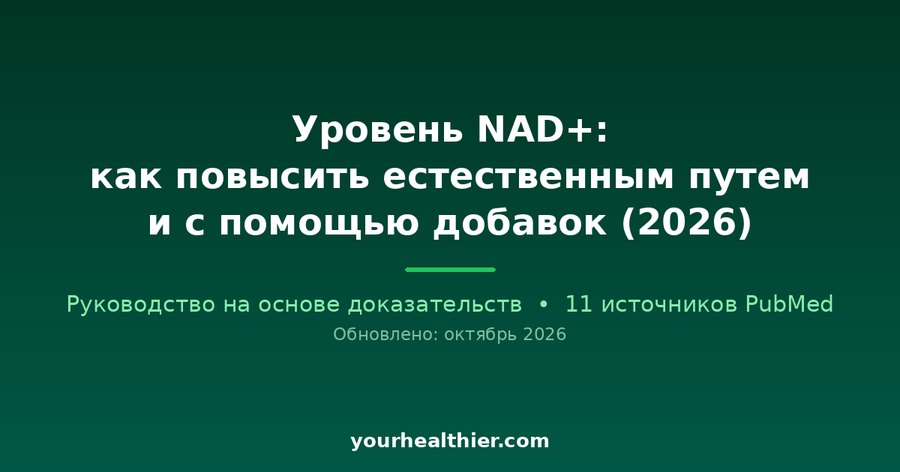 Уровень NAD+: как повысить естественным путем и с помощью добавок (2026)