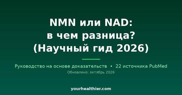 NMN или NAD: в чем разница? (Научный гид 2026)