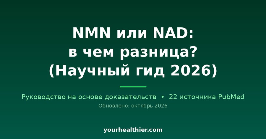 NMN или NAD: в чем разница? (Научный гид 2026)