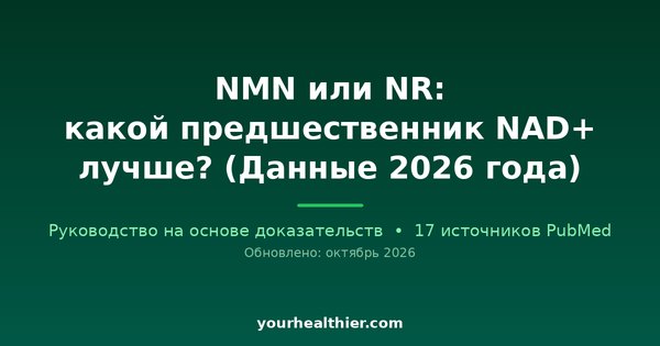 NMN или NR: какой предшественник NAD+ лучше? (Данные 2026 года)
