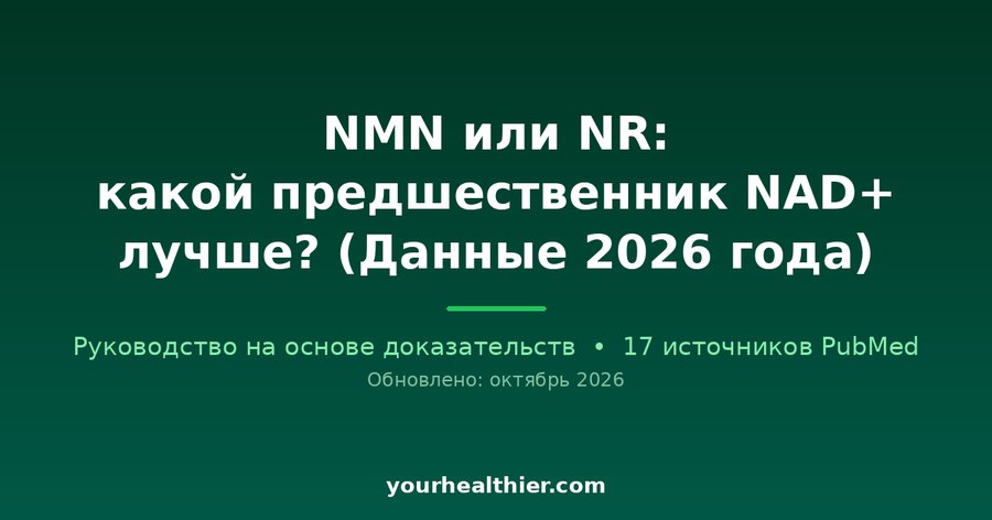 NMN или NR: какой предшественник NAD+ лучше? (Данные 2026 года)