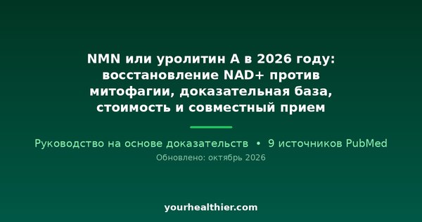 NMN или уролитин А в 2026 году: восстановление NAD+ против митофагии, доказательная база, стоимость и совместный прием