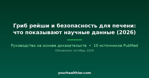 Гриб рейши и безопасность для печени: что показывают научные данные (2026)