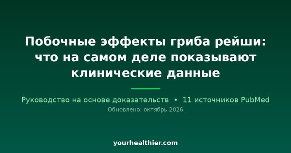 Побочные эффекты гриба рейши: что на самом деле показывают клинические данные