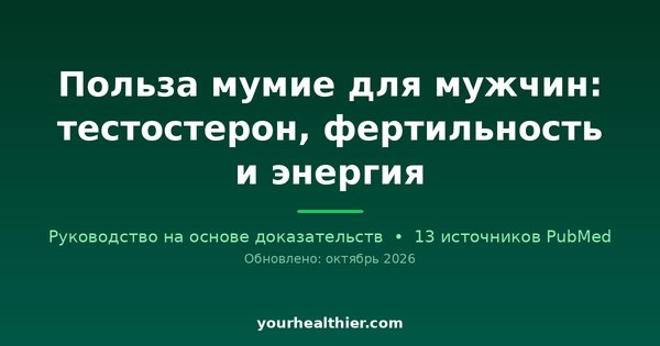 Польза мумие для мужчин: тестостерон, фертильность и энергия