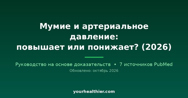 Мумие и артериальное давление: повышает или понижает? (2026)