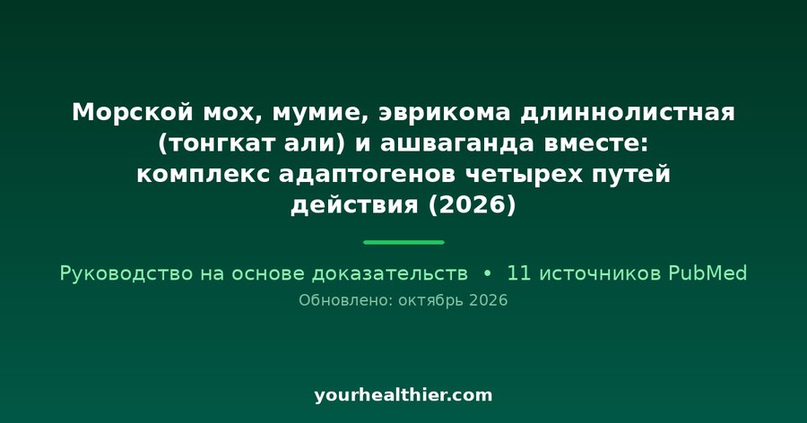 Морской мох, мумие, эврикома длиннолистная (тонгкат али) и ашваганда вместе: комплекс адаптогенов четырех путей действия (2026)