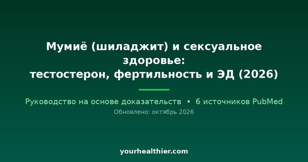 Мумиё (шиладжит) и сексуальное здоровье: тестостерон, фертильность и ЭД (2026)