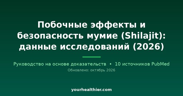 Побочные эффекты и безопасность мумие (Shilajit): данные исследований (2026)