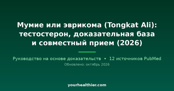 Мумие или эврикома (Tongkat Ali): тестостерон, доказательная база и совместный прием (2026)