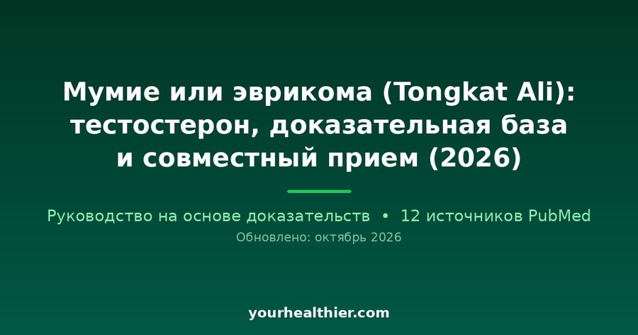 Мумие или эврикома (Tongkat Ali): тестостерон, доказательная база и совместный прием (2026)