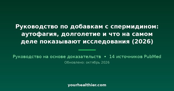 Руководство по добавкам с спермидином: аутофагия, долголетие и что на самом деле показывают исследования (2026)
