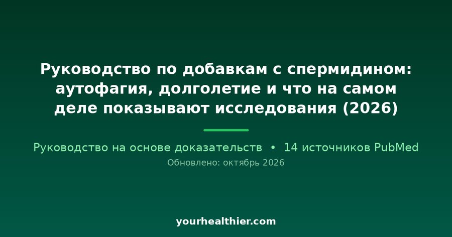Руководство по добавкам с спермидином: аутофагия, долголетие и что на самом деле показывают исследования (2026)