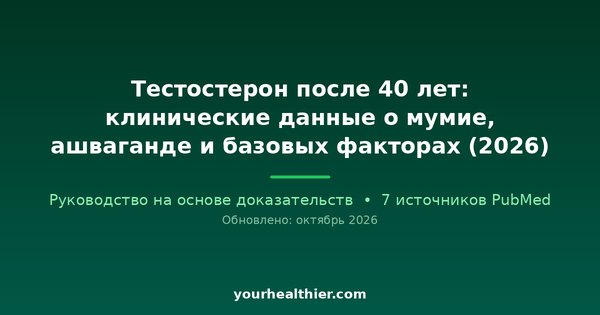 Тестостерон после 40 лет: клинические данные о мумие, ашваганде и базовых факторах (2026)