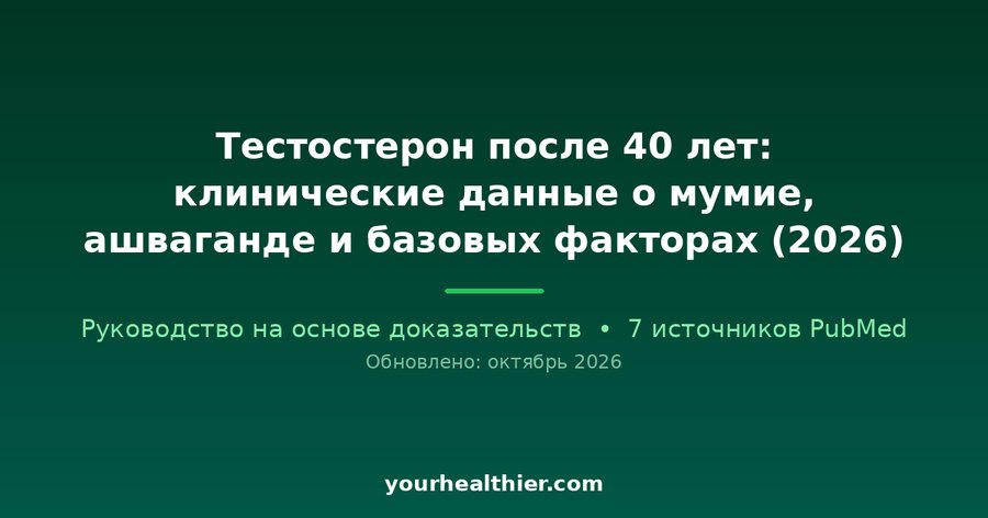 Тестостерон после 40 лет: клинические данные о мумие, ашваганде и базовых факторах (2026)