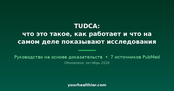 TUDCA: что это такое, как работает и что на самом деле показывают исследования