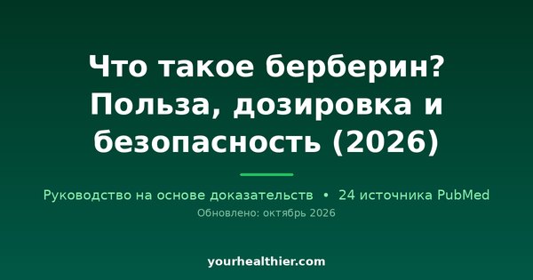 Что такое берберин? Польза, дозировка и безопасность (2026)