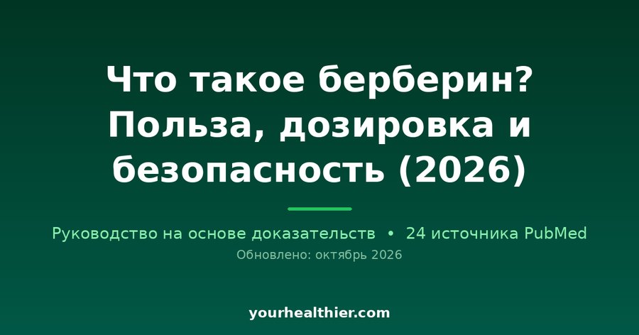 Что такое берберин? Польза, дозировка и безопасность (2026)