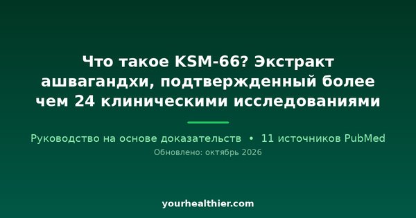 Что такое KSM-66? Экстракт ашвагандхи, подтвержденный более чем 24 клиническими исследованиями