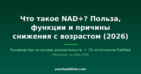 Что такое NAD+? Польза, функции и причины снижения с возрастом (2026)