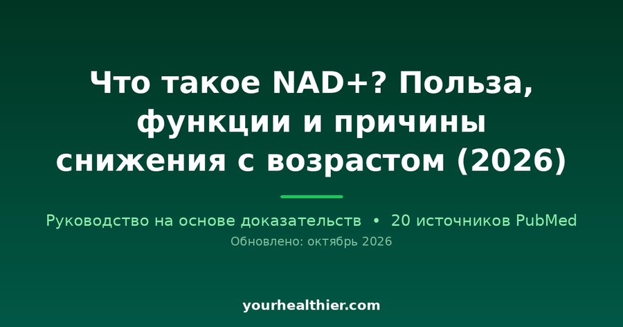 Что такое NAD+? Польза, функции и причины снижения с возрастом (2026)