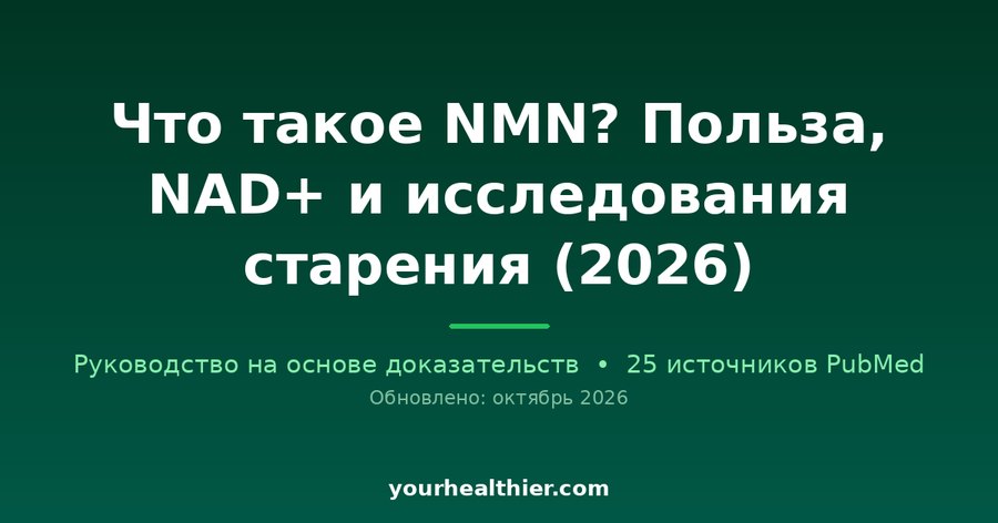 Что такое NMN? Польза, NAD+ и исследования старения (2026)